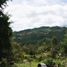  Terreno (Parcela) en venta en Rionegro, Antioquia, Rionegro, Antioquia