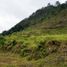  Grundstück zu verkaufen in Rionegro, Antioquia, Rionegro, Antioquia, Kolumbien