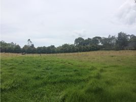  Land for sale in Rionegro, Antioquia, Rionegro