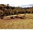  Terreno (Parcela) en venta en Guarne, Antioquia, Guarne