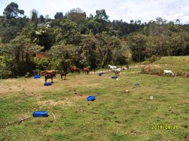  Terreno (Parcela) en venta en Guarne, Antioquia, Guarne