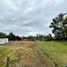  Land for sale in Rionegro, Antioquia, Rionegro