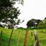 Terrain à vendre à Rionegro, Antioquia, Rionegro, Antioquia