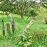 Terrain à vendre à Rionegro, Antioquia, Rionegro, Antioquia