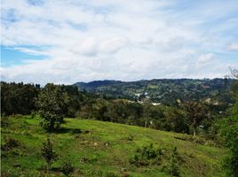  Terreno (Parcela) en venta en Guarne, Antioquia, Guarne