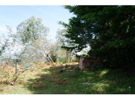  Land for sale in Guarne, Antioquia, Guarne