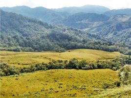  Land for sale in El Carmen De Viboral, Antioquia, El Carmen De Viboral