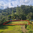  Grundstück zu verkaufen in Rionegro, Antioquia, Rionegro, Antioquia