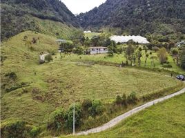  Land for sale in El Carmen De Viboral, Antioquia, El Carmen De Viboral