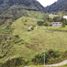  Land for sale in El Carmen De Viboral, Antioquia, El Carmen De Viboral