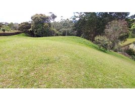  Land for sale in El Carmen De Viboral, Antioquia, El Carmen De Viboral