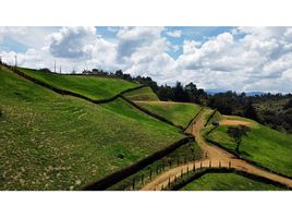  Land for sale in El Carmen De Viboral, Antioquia, El Carmen De Viboral