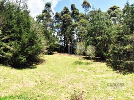  Terreno (Parcela) en venta en El Carmen De Viboral, Antioquia, El Carmen De Viboral