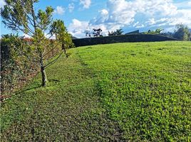  Land for sale in El Carmen De Viboral, Antioquia, El Carmen De Viboral