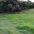  Land for sale in Rionegro, Antioquia, Rionegro