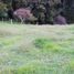  Land for sale in Rionegro, Antioquia, Rionegro