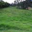  Land for sale in Rionegro, Antioquia, Rionegro