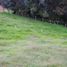  Land for sale in Rionegro, Antioquia, Rionegro