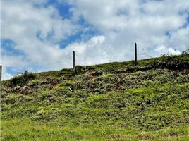  Land for sale in El Carmen De Viboral, Antioquia, El Carmen De Viboral