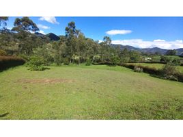  Grundstück zu verkaufen in La Ceja, Antioquia, La Ceja, Antioquia
