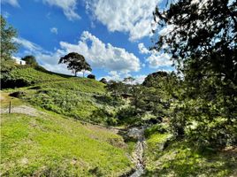  Land for sale in El Carmen De Viboral, Antioquia, El Carmen De Viboral