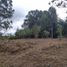  Terreno (Parcela) en venta en Rionegro, Antioquia, Rionegro, Antioquia