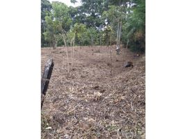 Terreno (Parcela) en venta en Rionegro, Antioquia, Rionegro, Antioquia