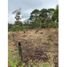  Terreno (Parcela) en venta en Rionegro, Antioquia, Rionegro, Antioquia