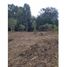  Terreno (Parcela) en venta en Rionegro, Antioquia, Rionegro, Antioquia