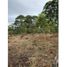  Terreno (Parcela) en venta en Rionegro, Antioquia, Rionegro, Antioquia