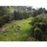Terrain à vendre à Rionegro, Antioquia, Rionegro, Antioquia