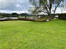  Terreno (Parcela) en venta en El Carmen De Viboral, Antioquia, El Carmen De Viboral