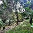 Terrain à vendre à Envigado, Antioquia, Envigado