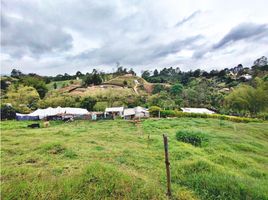  Terreno (Parcela) en venta en El Carmen De Viboral, Antioquia, El Carmen De Viboral