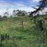  Land for sale in El Carmen De Viboral, Antioquia, El Carmen De Viboral