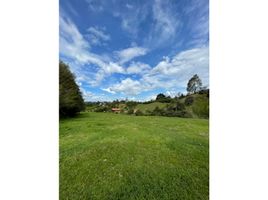  Terreno (Parcela) en venta en Rionegro, Antioquia, Rionegro