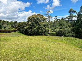  Land for sale in El Carmen De Viboral, Antioquia, El Carmen De Viboral