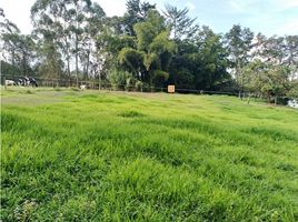  Terreno (Parcela) en venta en Rionegro, Antioquia, Rionegro