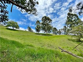  Terreno (Parcela) en venta en Marinilla, Antioquia, Marinilla