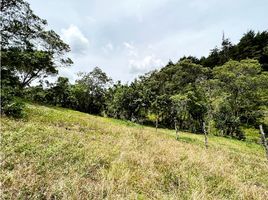  Terreno (Parcela) en venta en Guarne, Antioquia, Guarne