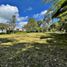  Terreno (Parcela) en venta en Rionegro, Antioquia, Rionegro, Antioquia, Colombia