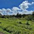  Terreno (Parcela) en venta en Rionegro, Antioquia, Rionegro, Antioquia, Colombia