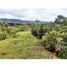  Land for sale in Guarne, Antioquia, Guarne