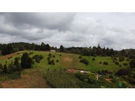  Terreno (Parcela) en venta en Guarne, Antioquia, Guarne