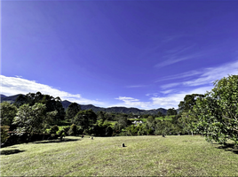  Terreno (Parcela) en venta en La Ceja, Antioquia, La Ceja