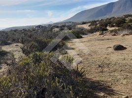  Land for sale in La Serena, Elqui, La Serena