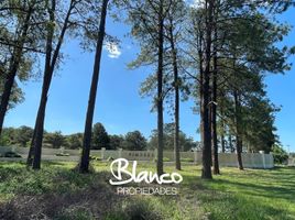  Land for sale in Exaltacion De La Cruz, Buenos Aires, Exaltacion De La Cruz