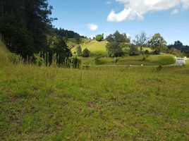 Terrain à vendre à Retiro, Antioquia, Retiro