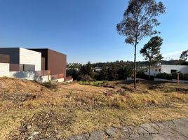  Grundstück zu verkaufen in Naucalpan De Juarez, Mexico, Naucalpan De Juarez