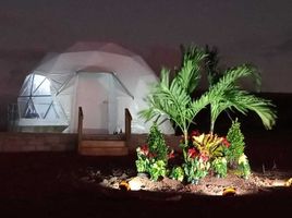 在Jerecuaro, Guanajuato出售的 土地, Jerecuaro
